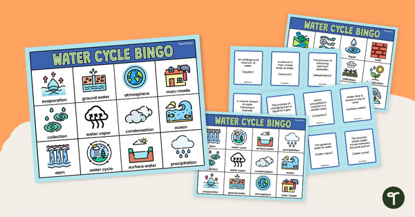 Image of Water Cycle Bingo