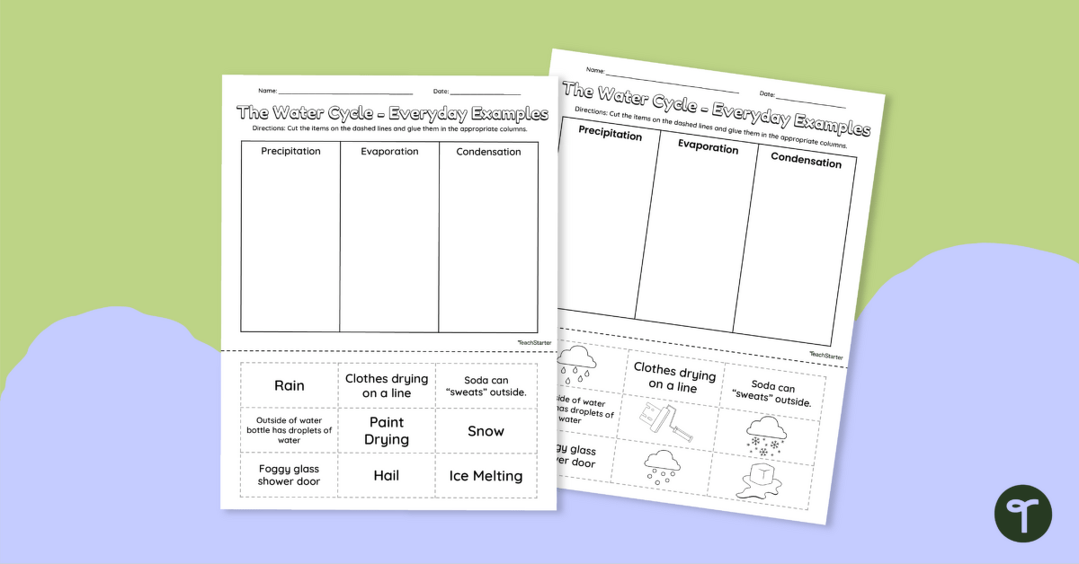 Cut and Sort - Everyday Examples of the Water Cycle teaching resource