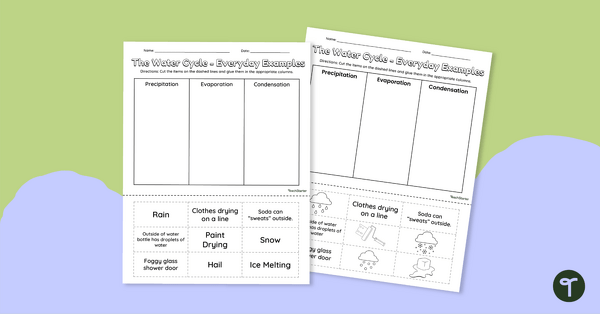 Cut and Sort - Everyday Examples of the Water Cycle teaching resource