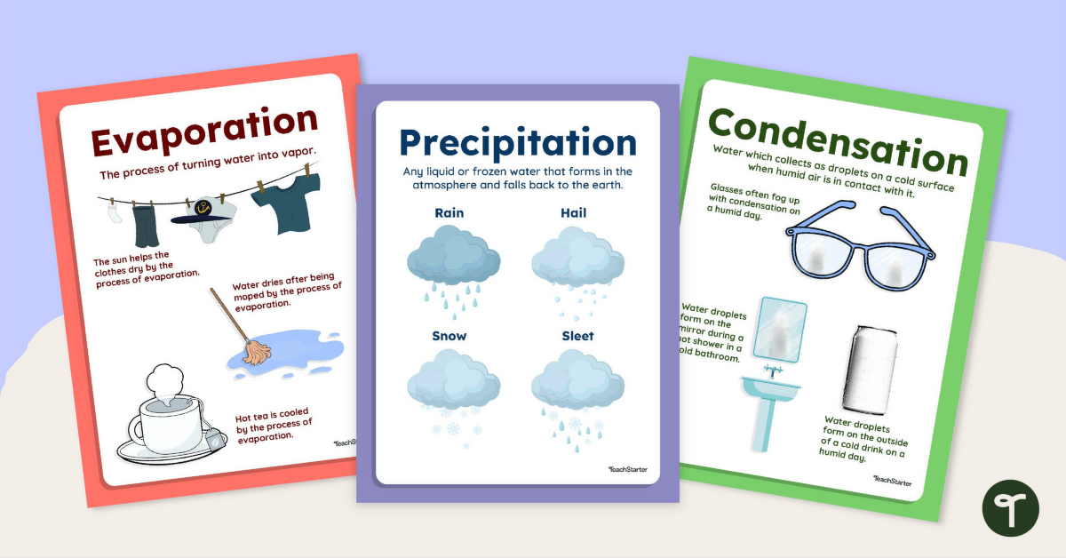 Set of Water Cycle Everyday Examples Posters teaching resource