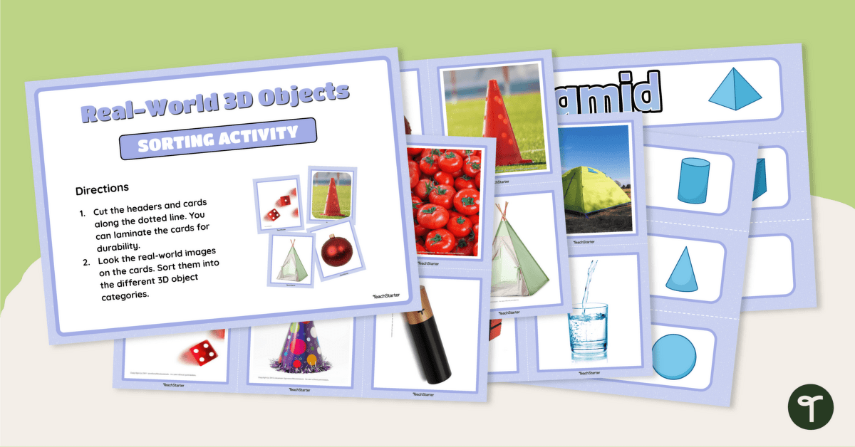 Real-World 3D Objects - Sorting Activity teaching resource