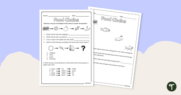 Go to Food Chains – Worksheet teaching resource