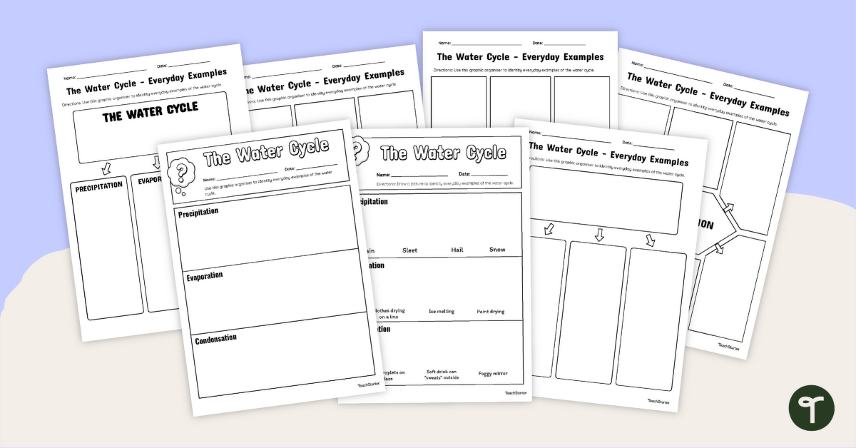 Set of Graphic Organisers for the Water Cycle - Everyday Examples teaching resource