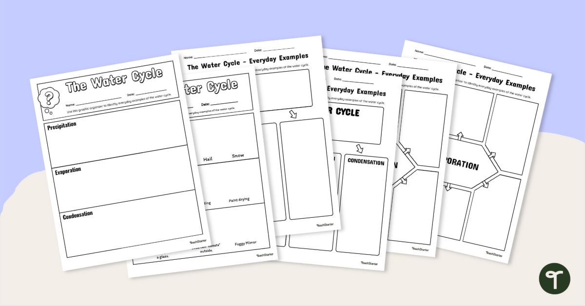 Set of Graphic Organizers for the Water Cycle - Everyday Examples teaching resource