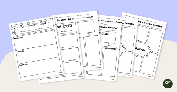 Set of Graphic Organizers for the Water Cycle - Everyday Examples teaching resource