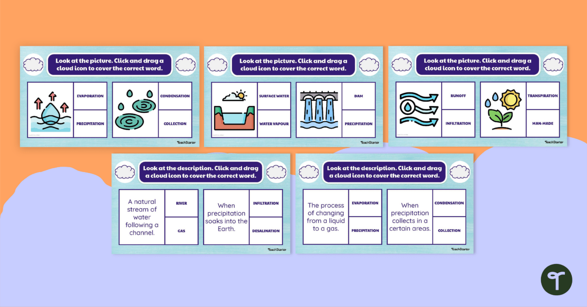 Water Cycle Interactive Activity Cards teaching resource