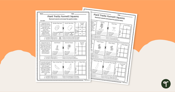 Image of Punnett Square Worksheets