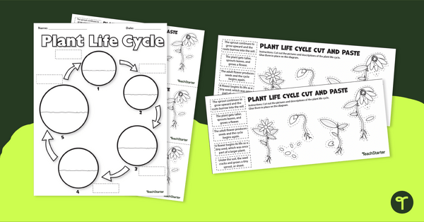Image of Plant Life Cycle - Cut and Paste Worksheet