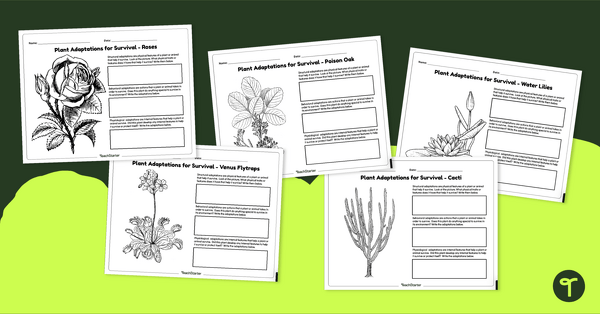 Image of Plant Adaptations Worksheets