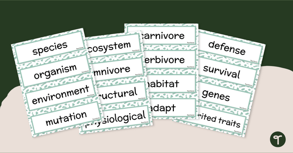 Plant and Animal Adaptations – Word Wall Vocabulary teaching resource