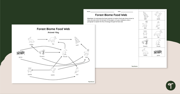 Go to Forest Biome Food Web – Worksheet teaching resource