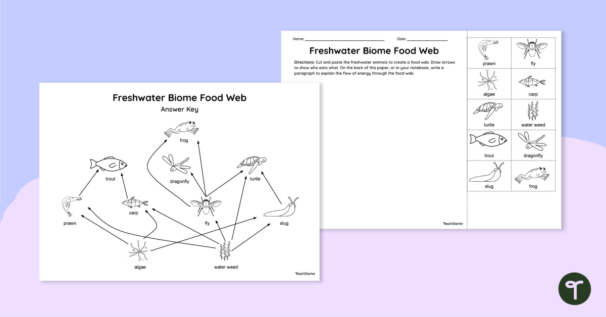 Freshwater Biome Food Web - Cut and Paste Worksheet teaching resource