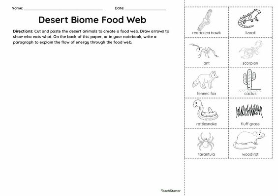 Desert Biome Food Web - Cut and Paste Worksheet teaching resource