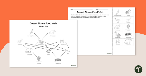 Go to Desert Biome Food Web - Cut and Paste Worksheet teaching resource