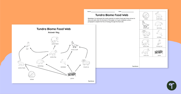 Go to Tundra Biome Food Web - Cut and Paste Worksheet teaching resource