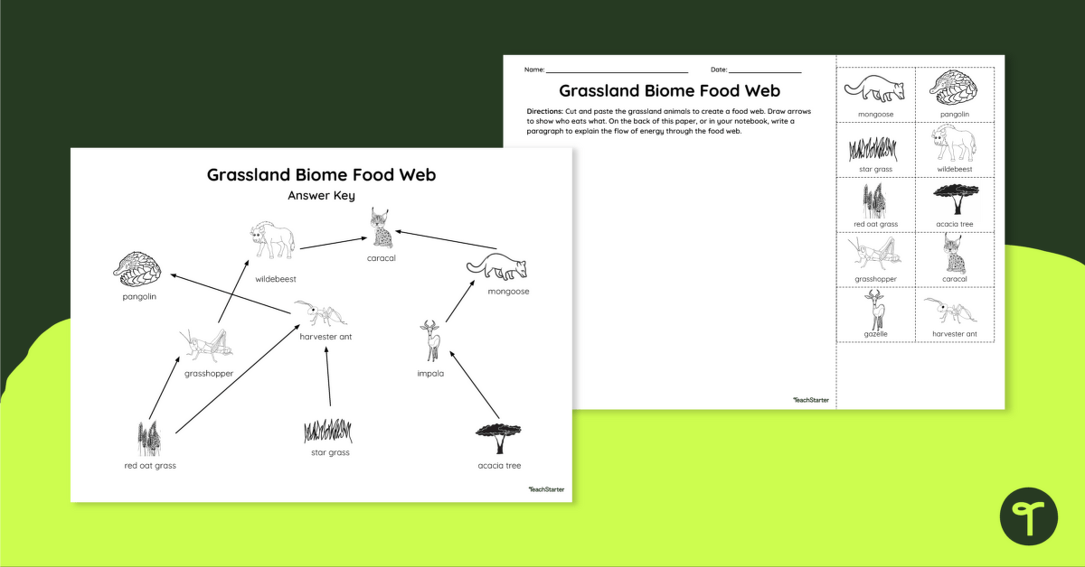 Grassland Biome Food Web - Cut and Paste Worksheet teaching resource
