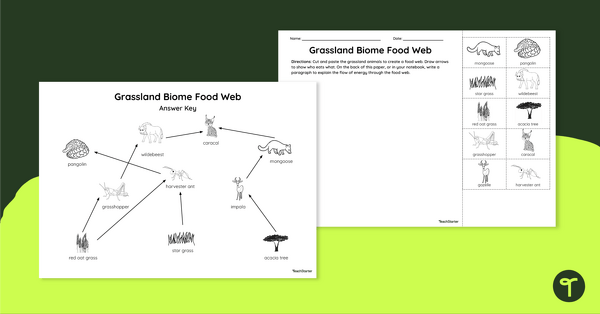 Go to Grassland Biome Food Web - Cut and Paste Worksheet teaching resource