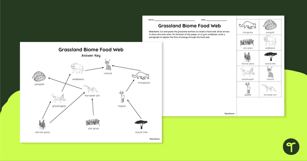 Image of Grassland Biome Food Web - Cut and Paste Worksheet