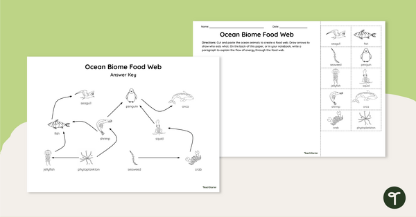 Go to Ocean Biome Food Web - Cut and Paste Worksheet teaching resource