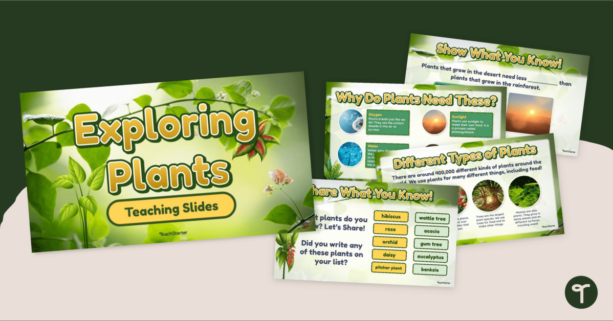 Exploring Plants PowerPoint teaching resource