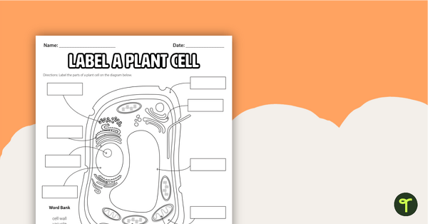 Go to Label a Plant Cell Diagram - Worksheet teaching resource