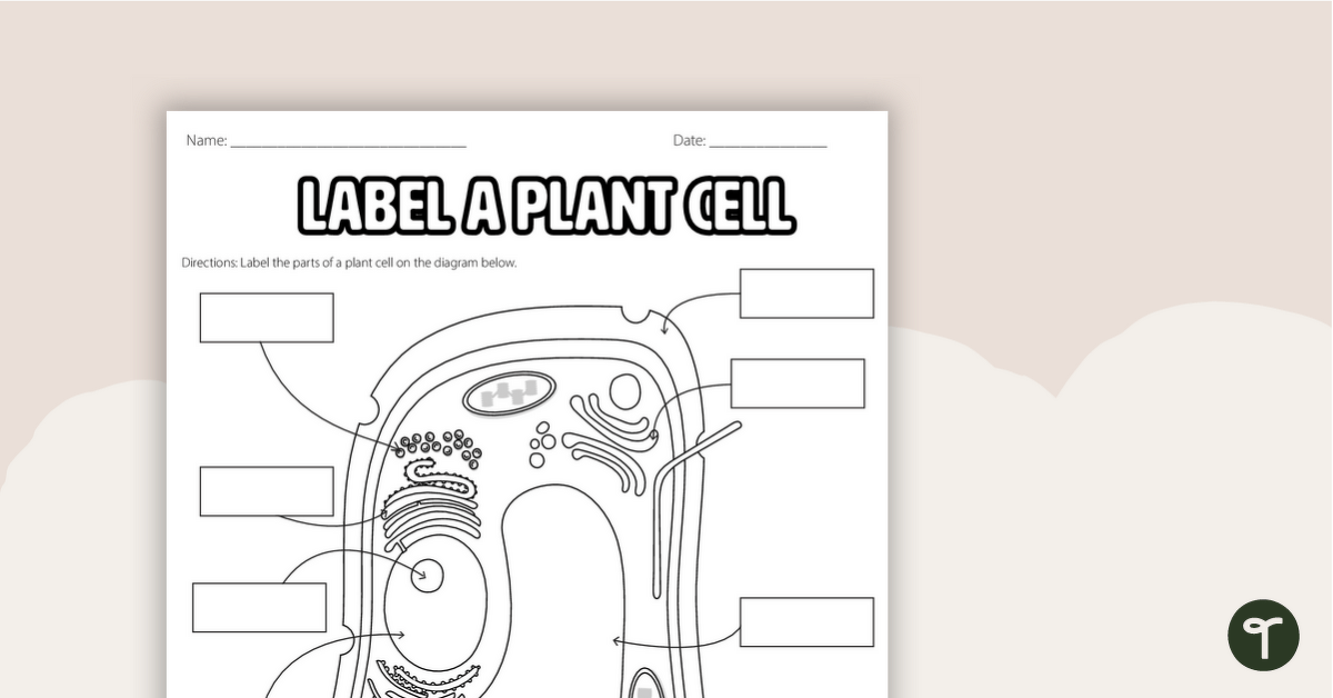 Plant Cell Diagram - Labelling Worksheet teaching resource