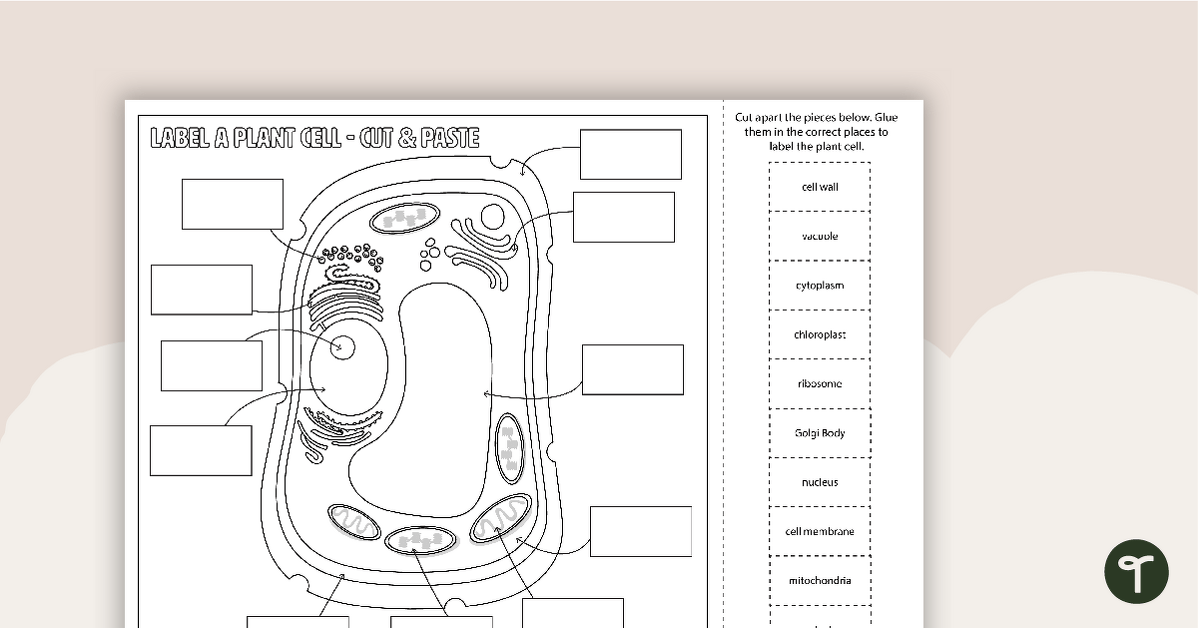 Plant Cell Diagram - Cut and Paste Worksheet teaching resource