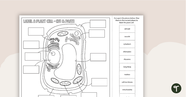 Go to Plant Cell Diagram - Cut and Paste Worksheet teaching resource