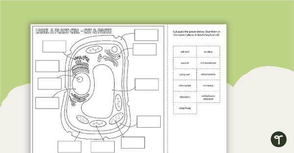 Go to Label a Plant Cell Diagram - Cut and Paste Worksheet teaching resource