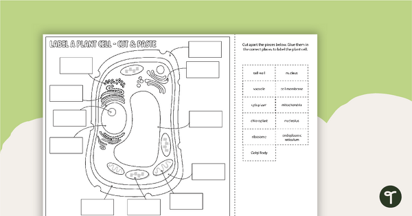 Label A Plant Cell Diagram Cut And Paste Worksheet Teach Starter