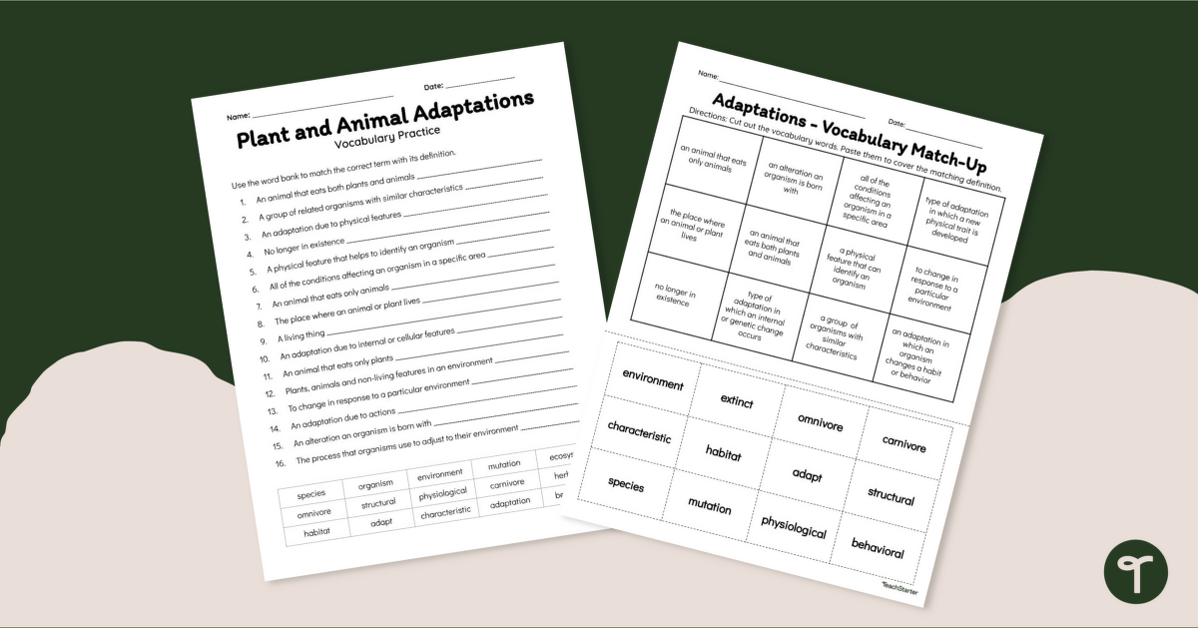 Plant and Animal Adaptations - Vocabulary Worksheets teaching resource
