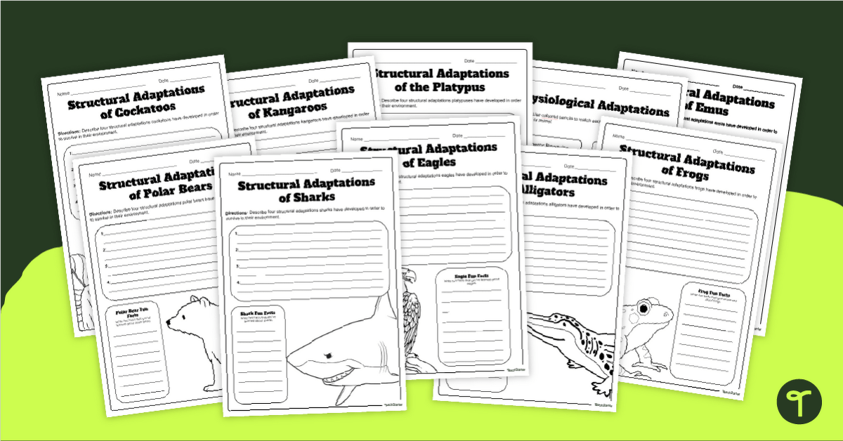 Animals With Adaptations - Worksheet Pack teaching resource