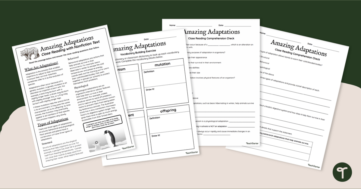 Plant and Animal Adaptations - Comprehension Worksheets teaching resource