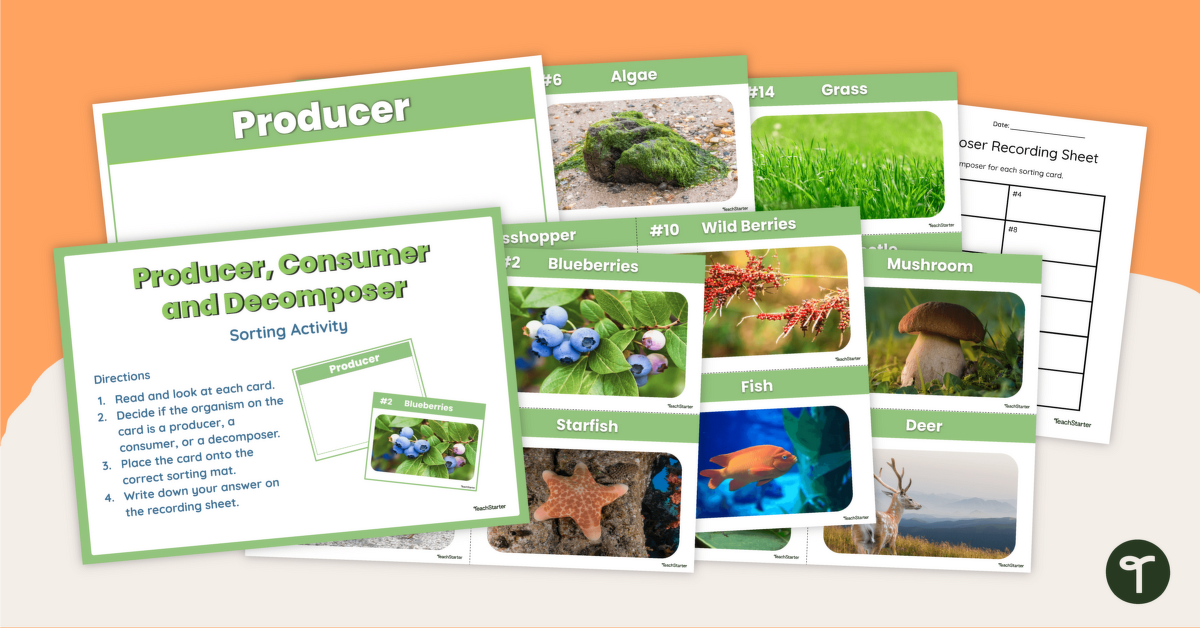 Producer, Consumer and Decomposer - Sorting Activity teaching resource