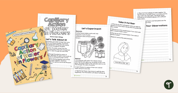 Go to Capillary Action in Plants - Science Experiment Booklet teaching resource