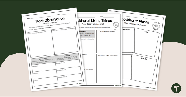 Go to Plant Journal Observation Worksheets teaching resource