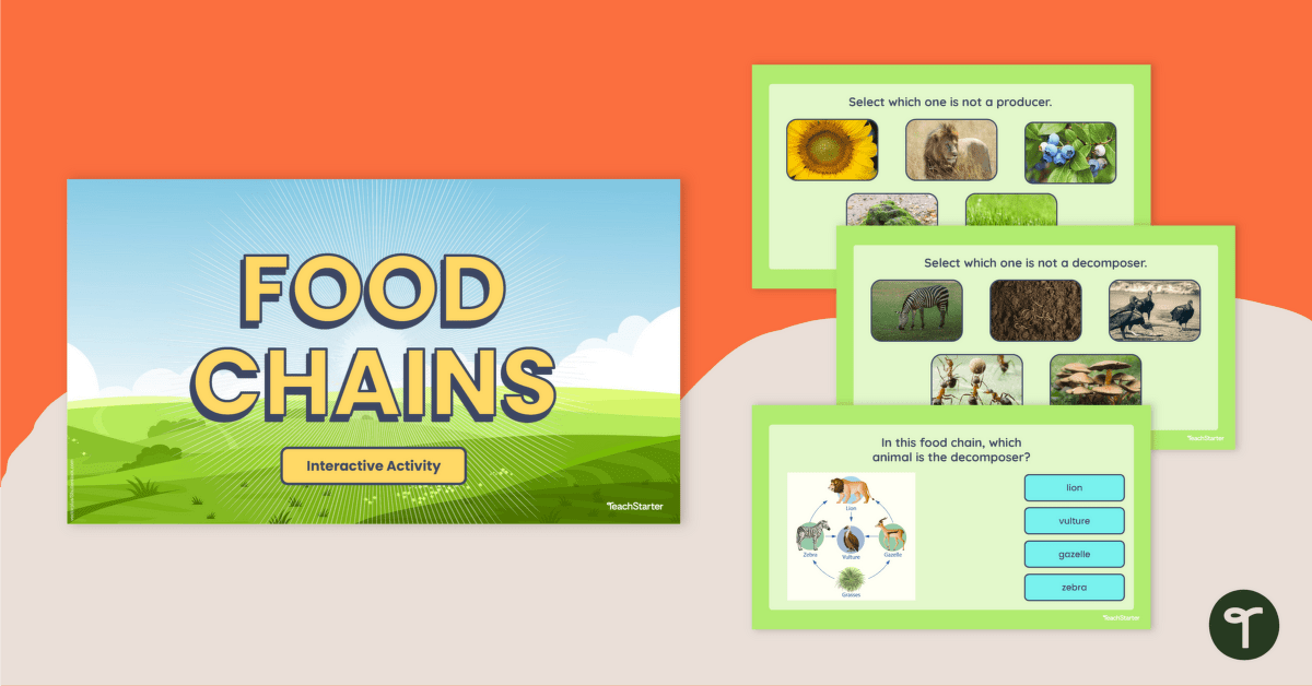 Food Chains - Interactive Activity teaching resource