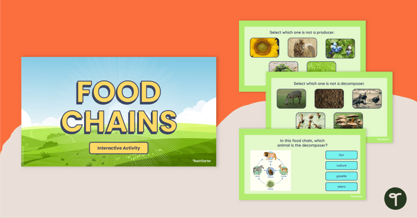 Go to Food Chains - Interactive Activity teaching resource