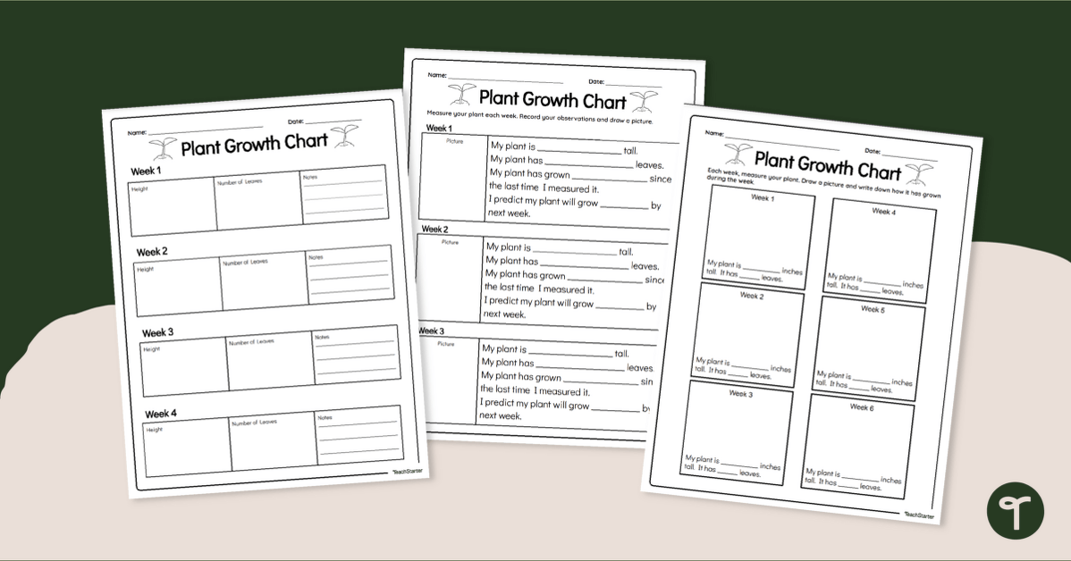 Plant Growth Chart - Worksheet teaching resource