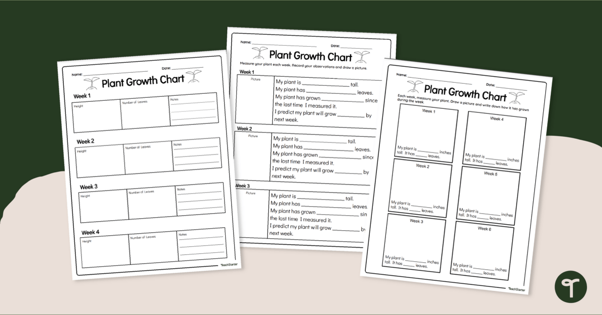 Plant Growth Chart Worksheet Teach Starter