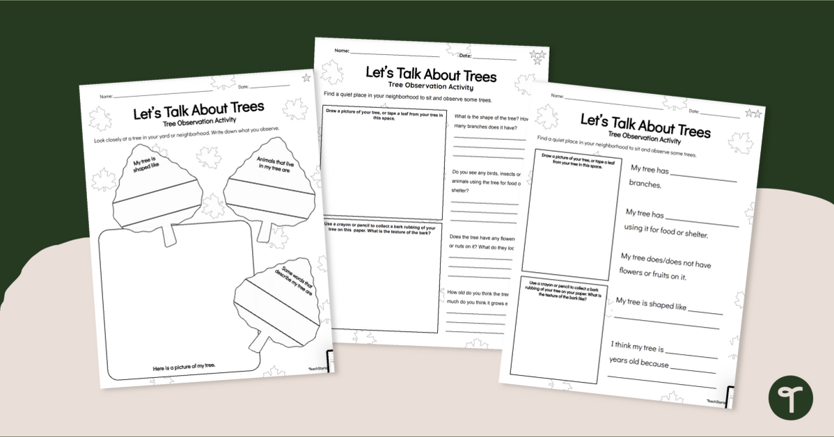 Tree Observation Worksheets teaching resource
