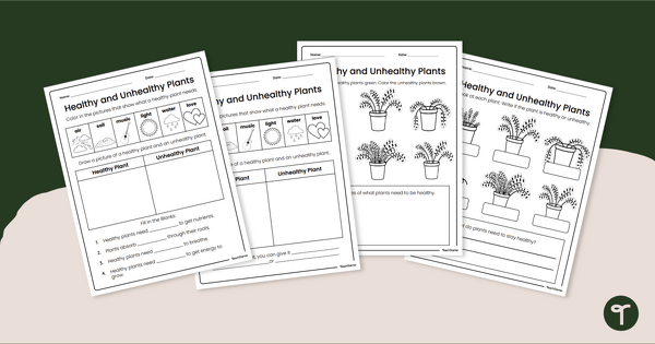 Go to Healthy and Unhealthy Plants Worksheets teaching resource