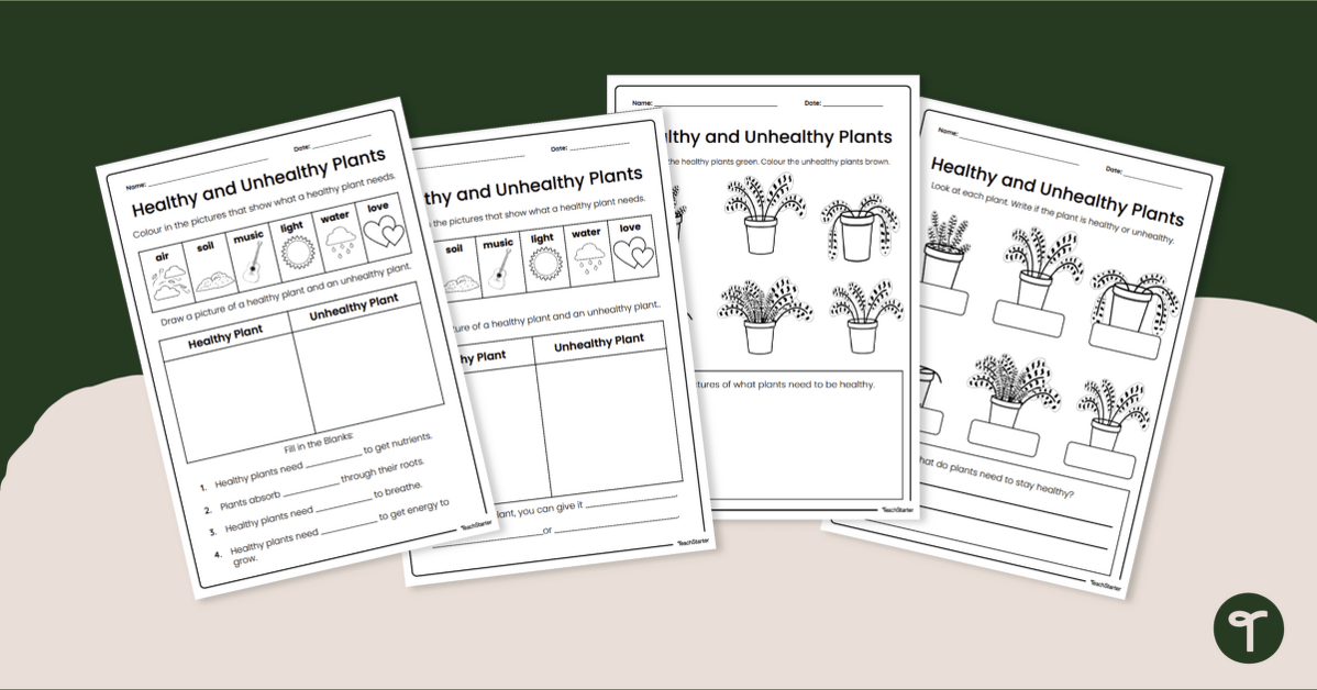 Healthy and Unhealthy Plants Worksheets teaching resource