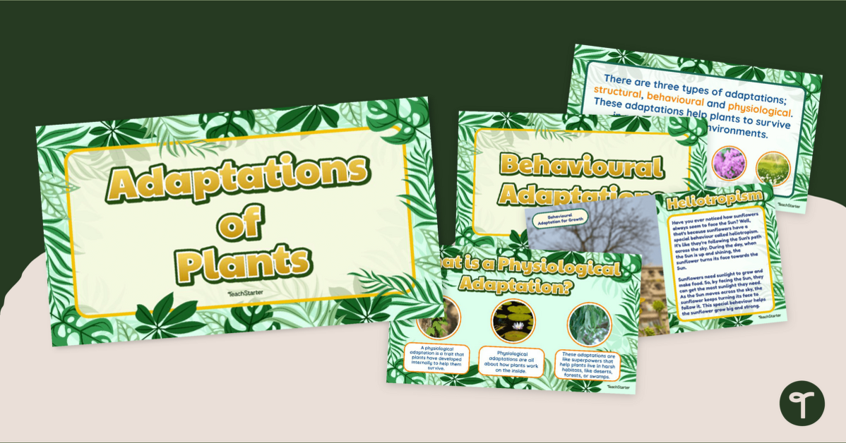Plant Adaptations Slide Deck teaching resource