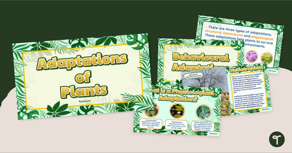 Go to Plant Adaptations Slide Deck teaching resource