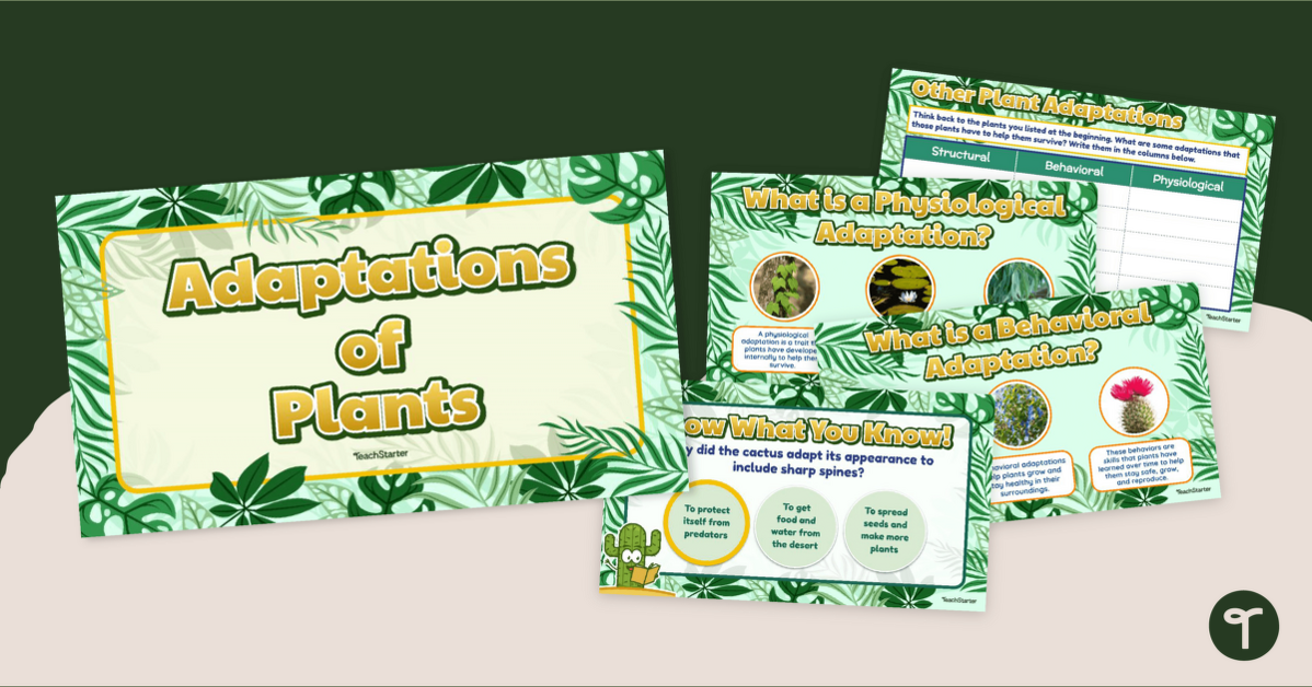 Plant Adaptations Slide Deck teaching resource