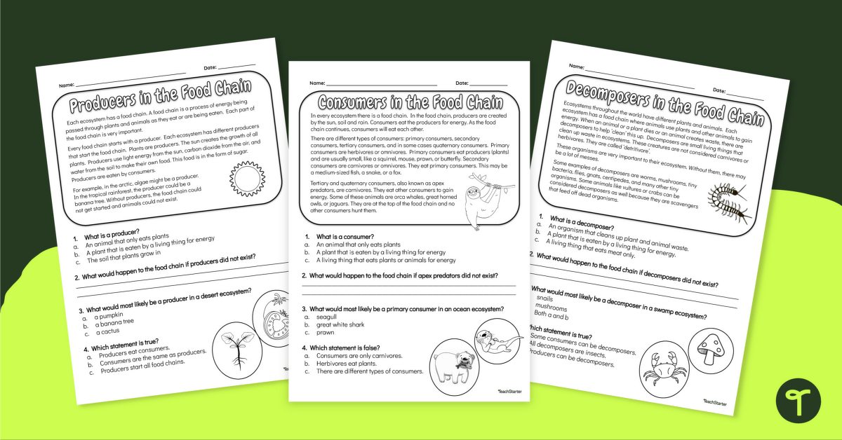 Producer, Consumer, Decomposer - Comprehension Worksheets teaching resource