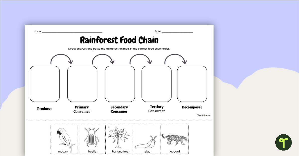Rainforest Food Chain - Cut and Paste Worksheet teaching resource