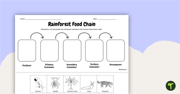 Go to Rainforest Food Chain - Cut and Paste Worksheet teaching resource