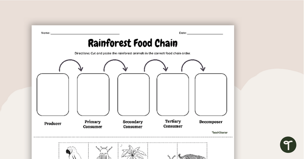 Go to Rainforest Food Chain - Cut and Paste Worksheet teaching resource